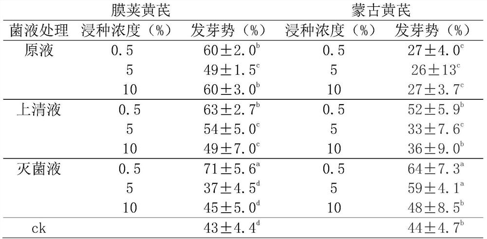 Method for improving germination rate of traditional Chinese medicinal material astragalus membranaceus seeds