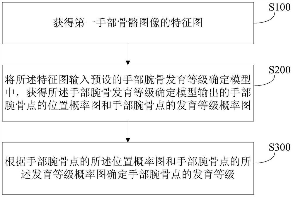 Method and related equipment for determining the developmental grade of carpal bones of the hand