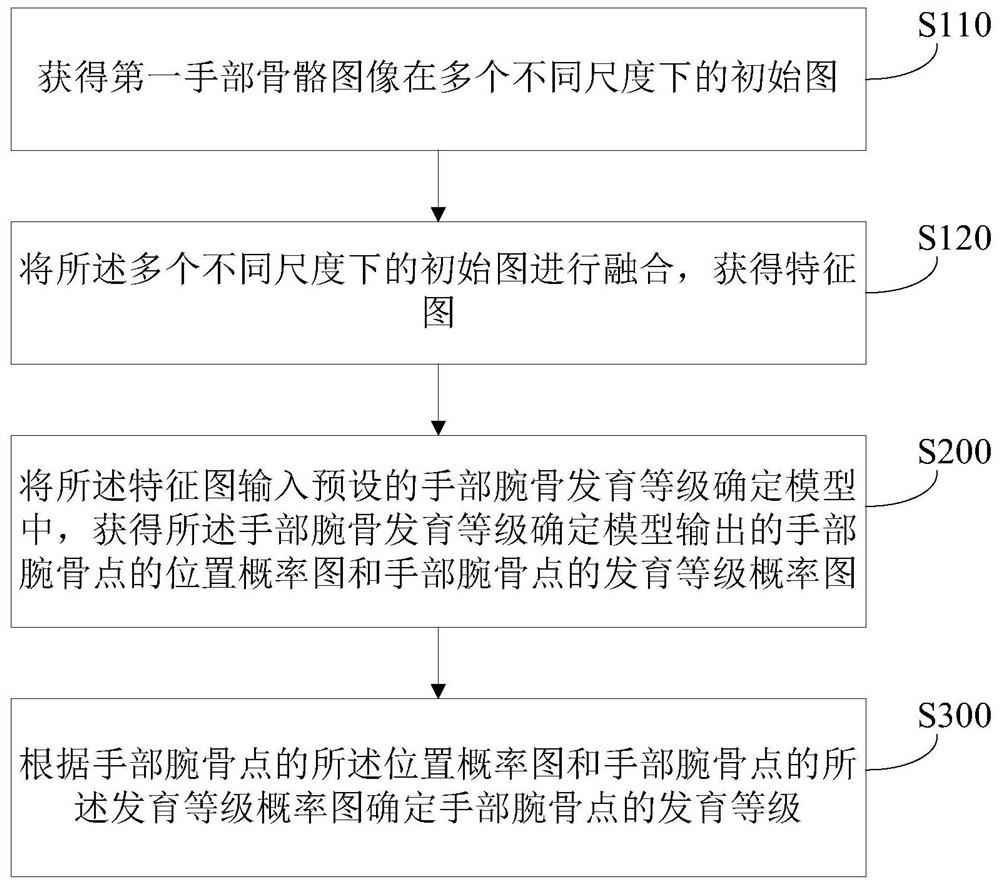 Method and related equipment for determining the developmental grade of carpal bones of the hand