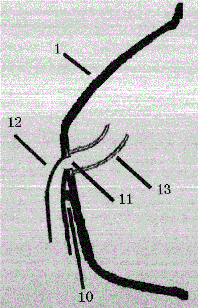 Expiratory valve used for respiratory protection device