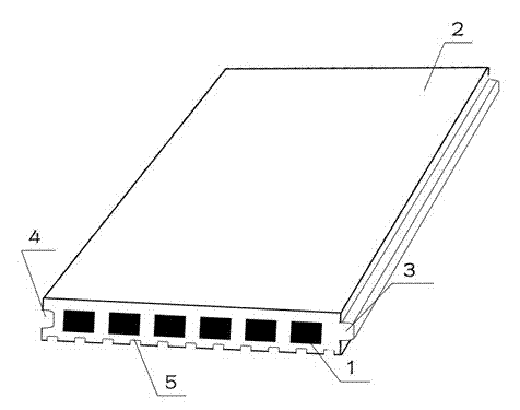 Carbon-plastic composite floor and manufacturing method thereof