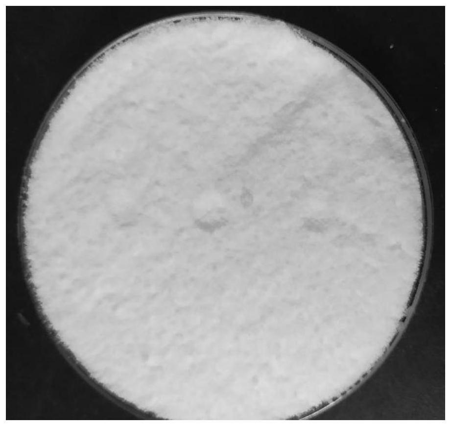 A kind of organic/inorganic hybrid core-shell structure fire extinguishing agent suitable for extinguishing lithium ion battery fire and preparation method thereof