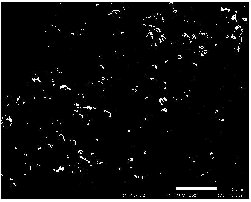 Load type lithium adsorbent and preparation method thereof