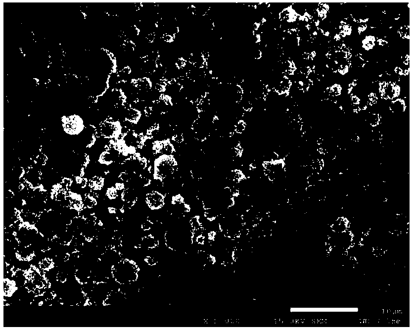 Load type lithium adsorbent and preparation method thereof