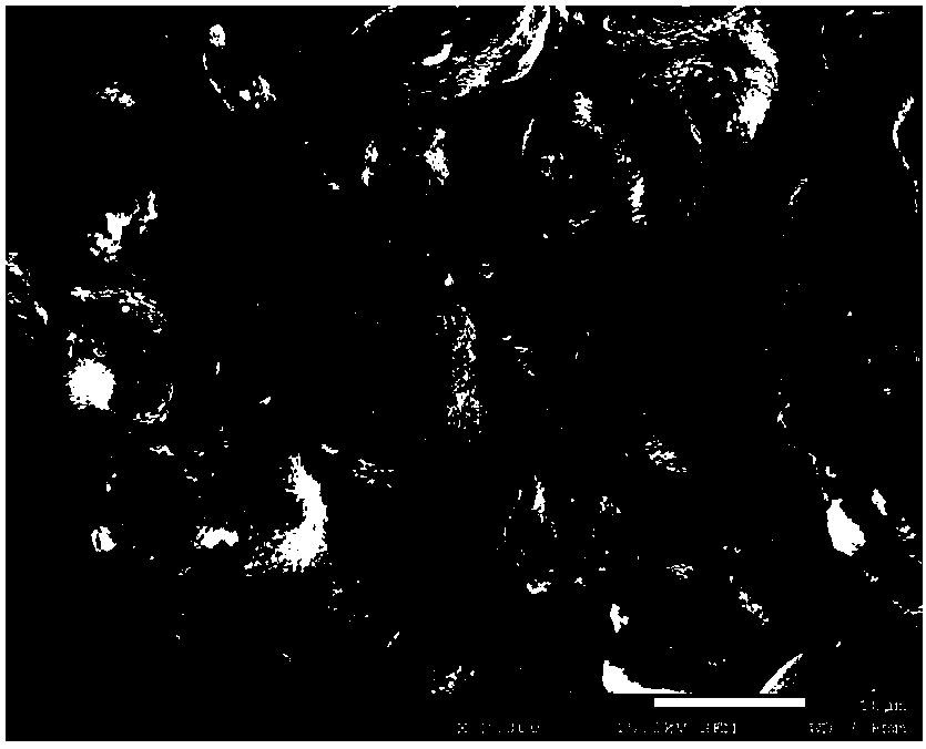 Load type lithium adsorbent and preparation method thereof