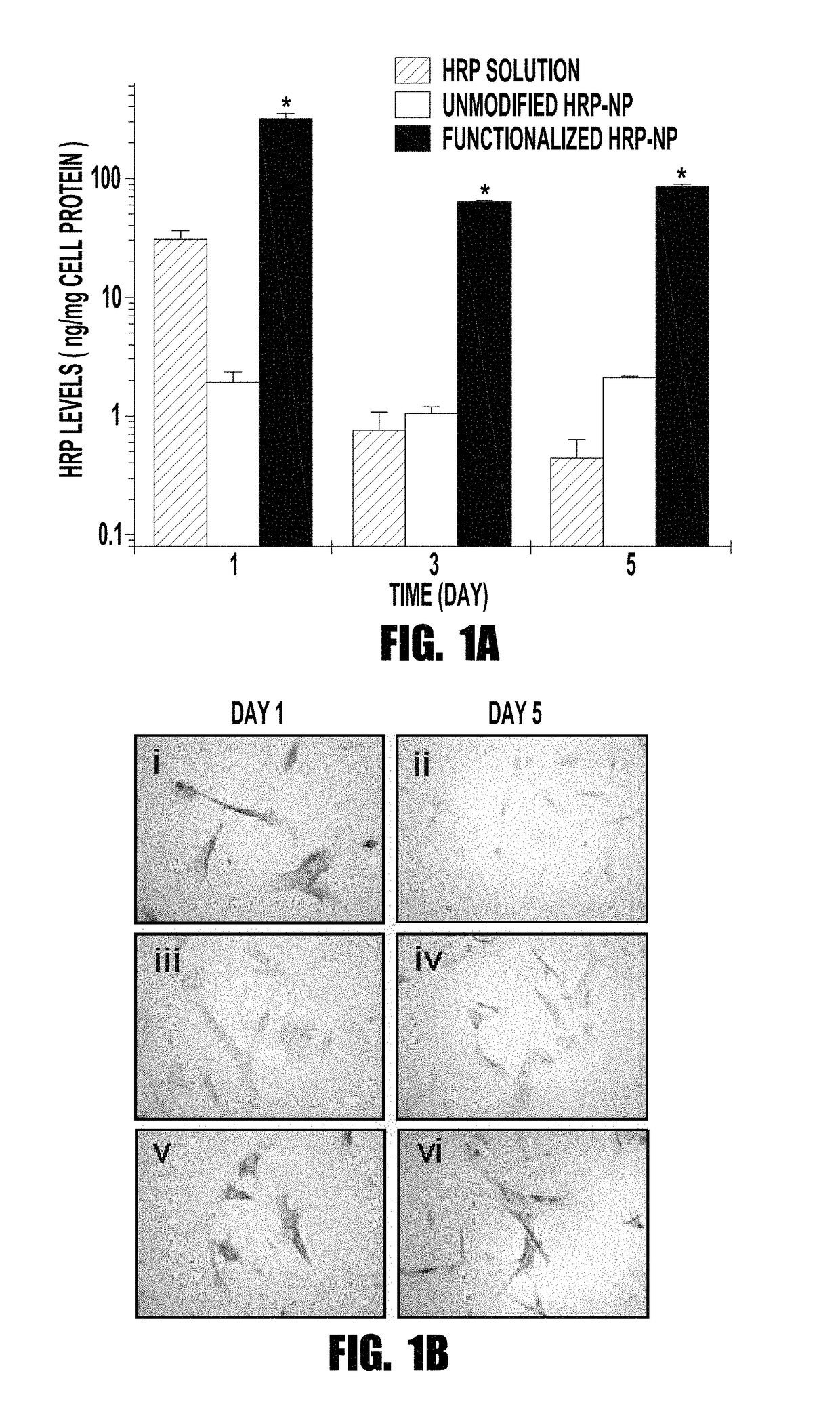 Nitric oxide synthase nanoparticles for treatment of vascular disease