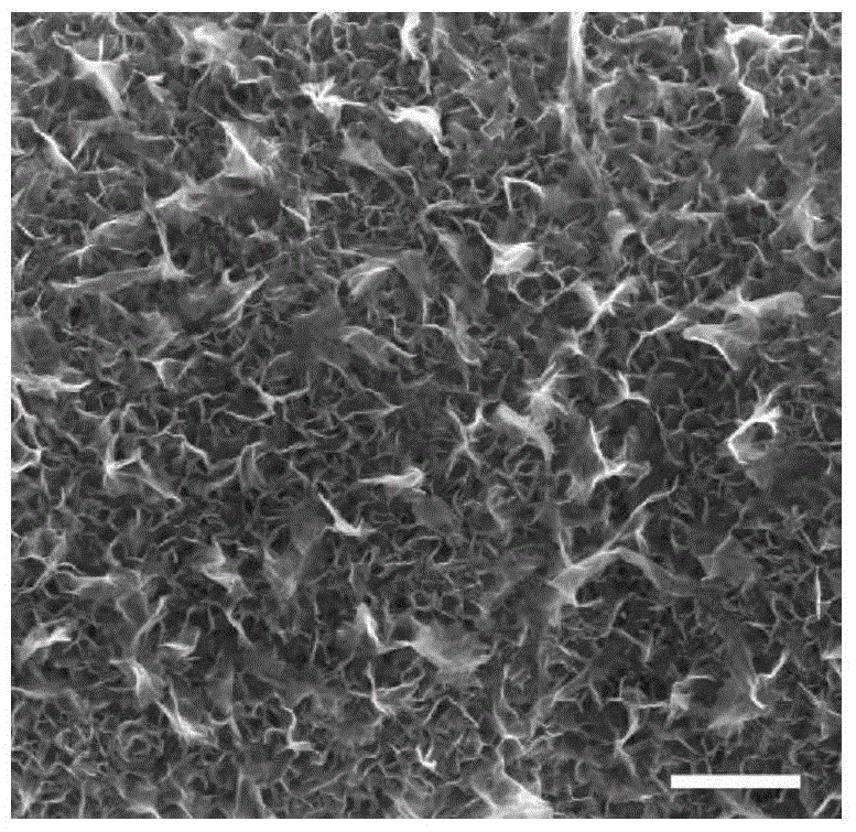 Preparation method of foamed nickel-graphene three-dimensional porous electrode by direct immersion reaction