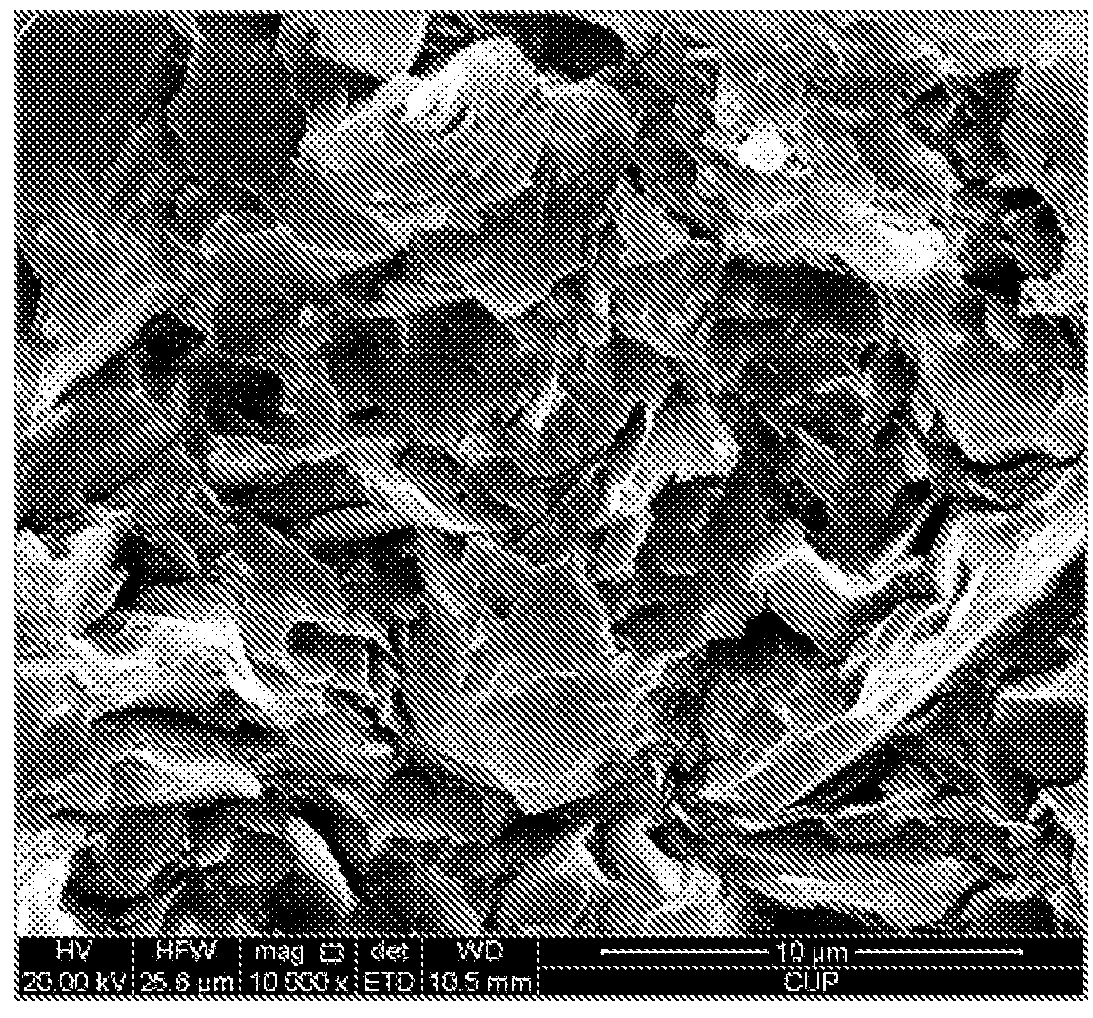 Biomimetic polymer for stabilizing wellbore and method for preparation of the same and drilling fluid