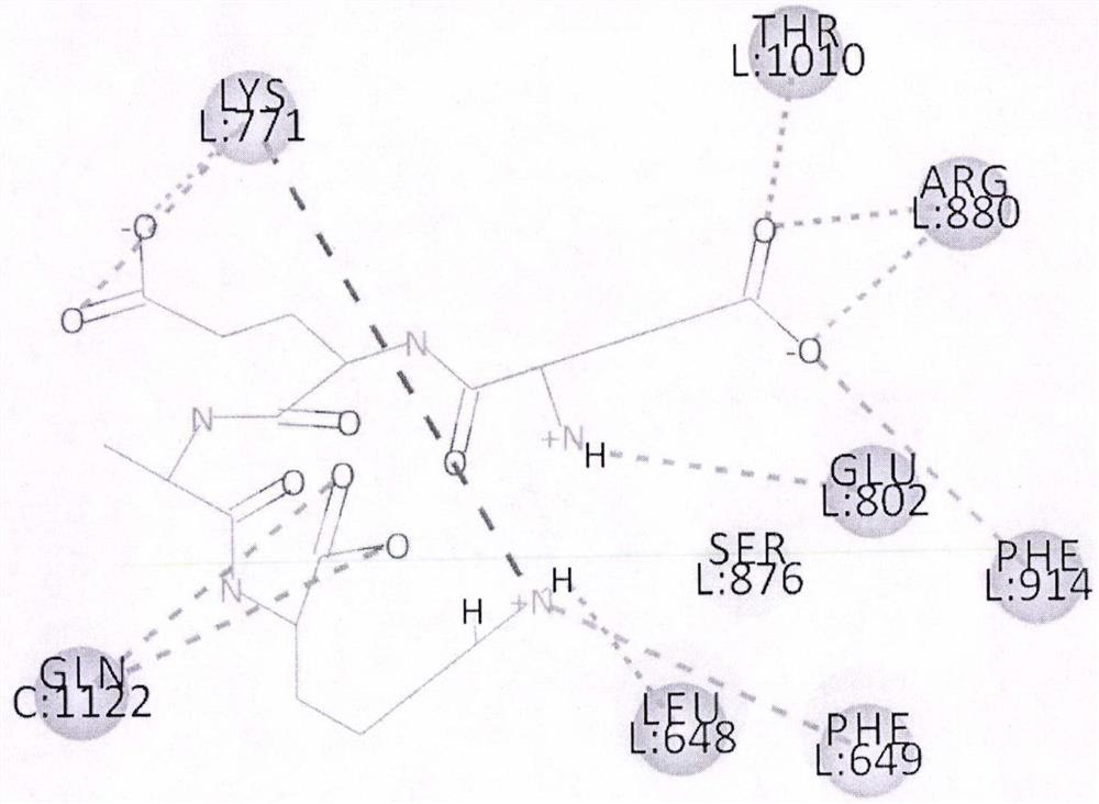 Xanthine oxidase inhibitory peptide