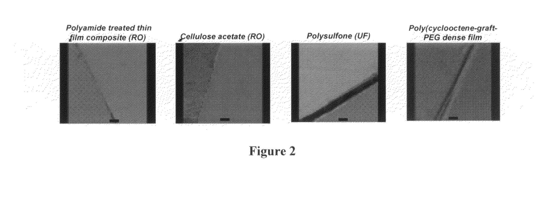 Cyclooctene monomers and polymers, and water purification articles and methods utilizing them