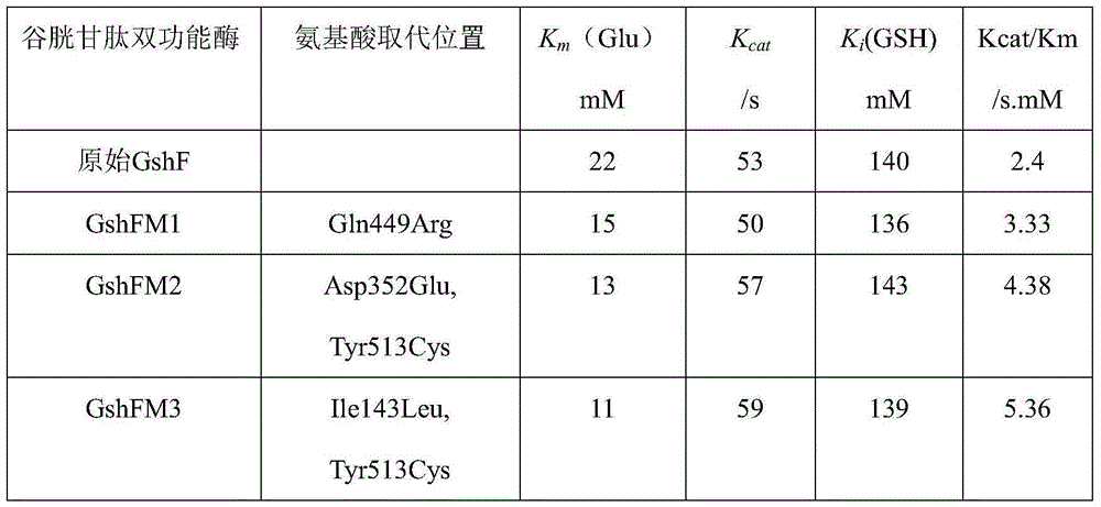 Mutant gene of gshF genes of streptococcus agalactiae and application thereof