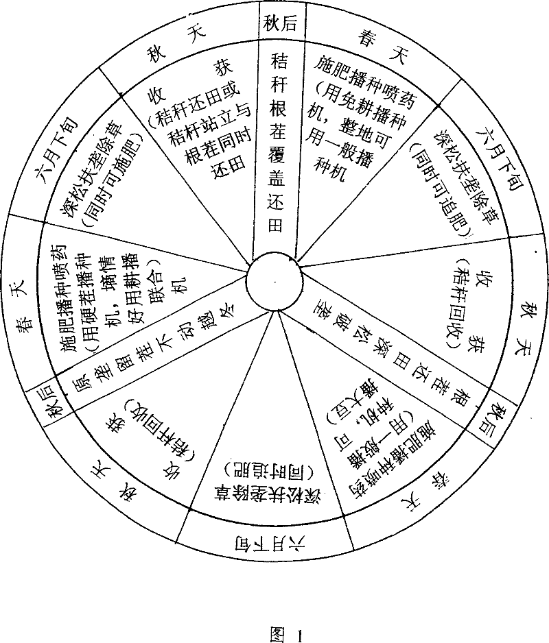 Three-year shifting mechanizaxion cultivation method of northeast ridge culture intertilled crop water reservoir moisture retension