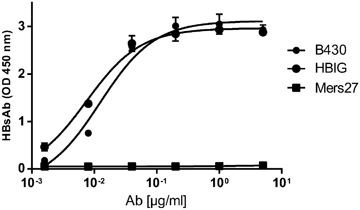 Neutralizing antibody B430 of hepatitis B virus (HBV) and application of neutralizing antibody B430