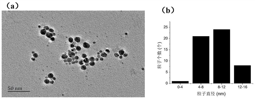 A method and application of green preparation of nano-silver from Aspergillus japonicum fermentation broth