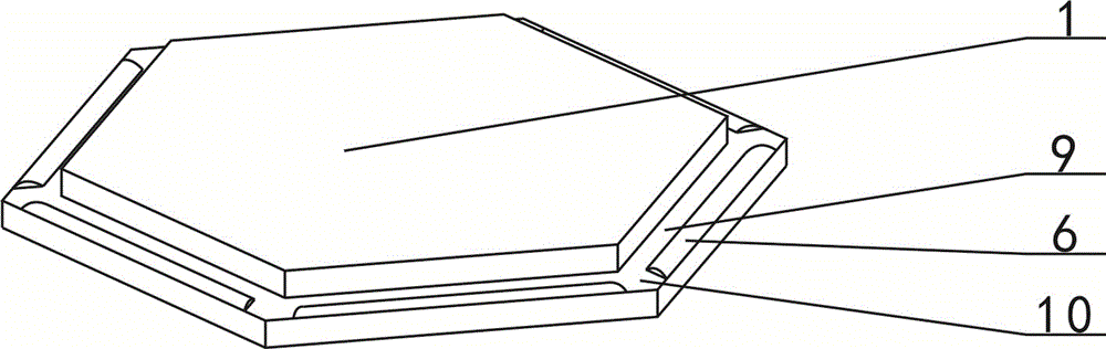 Hexagonal plastic floor assembly