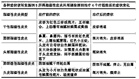 Externally applied medicinal liquor for treating seborrheic dermatitis and preparation method of externally applied medicinal liquor