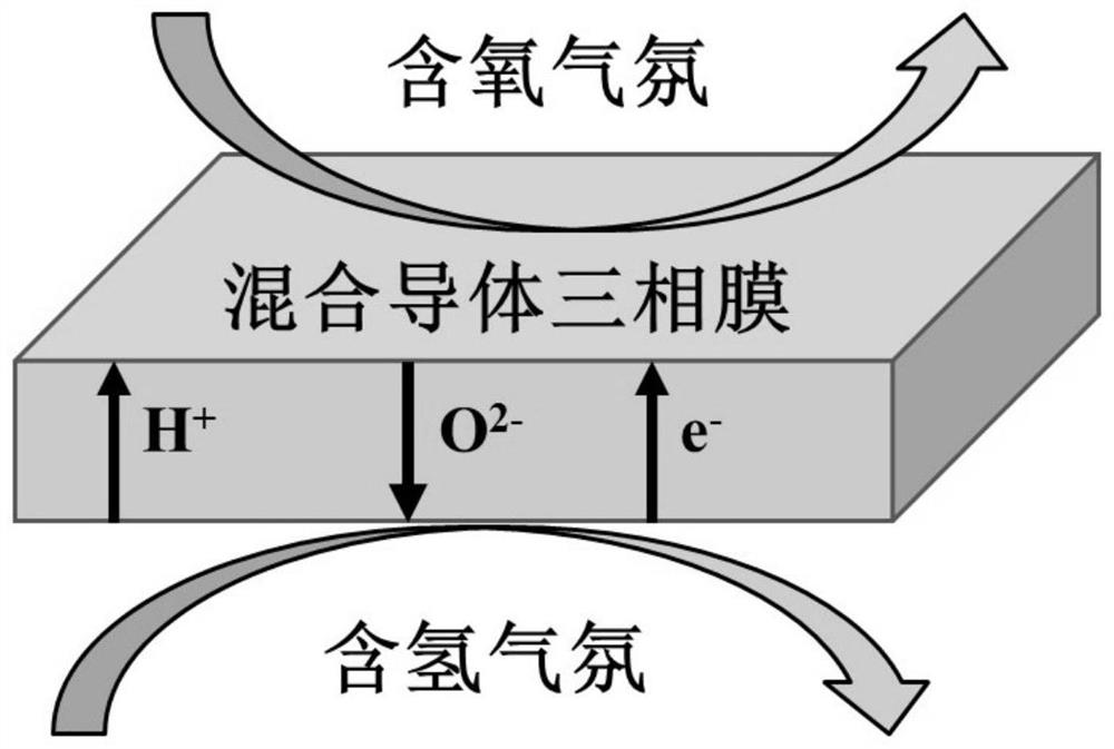 A self-separated phase mixed conductor three-phase film material and its preparation method and application