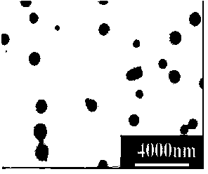 Metal ion / starch aggregate and preparation method thereof