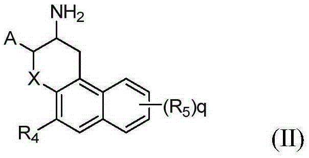 Benzo-hexatomic ring derivative used as DPP-4 inhibitor and application of benzo-hexatomic ring derivative