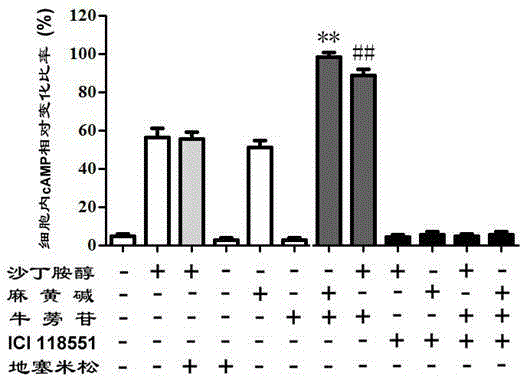 A kind of medicine for treating chronic respiratory diseases and preparation method thereof