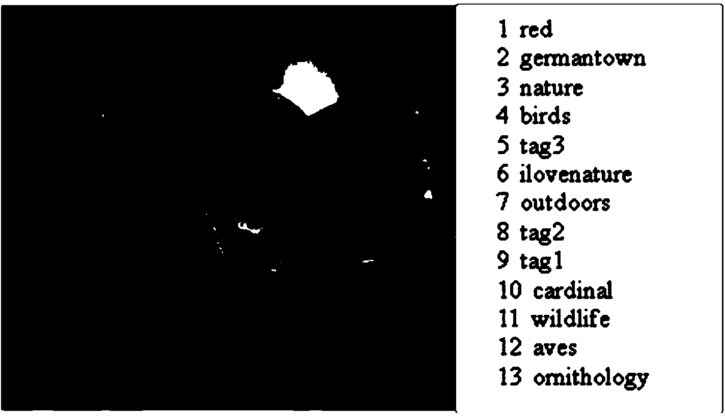 Multi-feature image tag sorting method based on WordNet semantic similarity