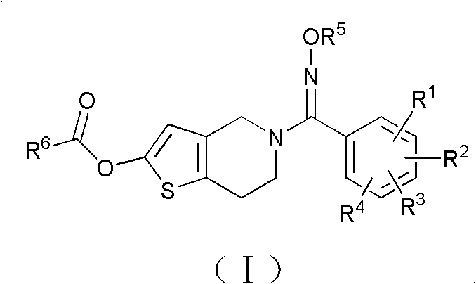 Ester compound and preparation method and application thereof