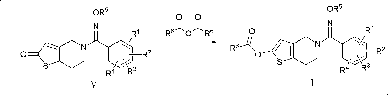 Ester compound and preparation method and application thereof