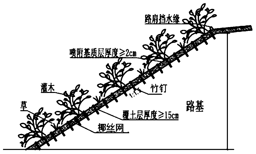 Full-ecological slope spraying and sowing structure and construction method