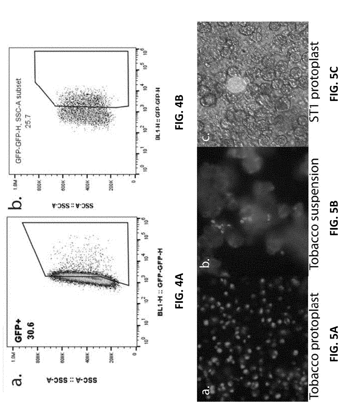 Apparatuses and methods using nanostraws to deliver biologically relevant cargo into non-adherent cells