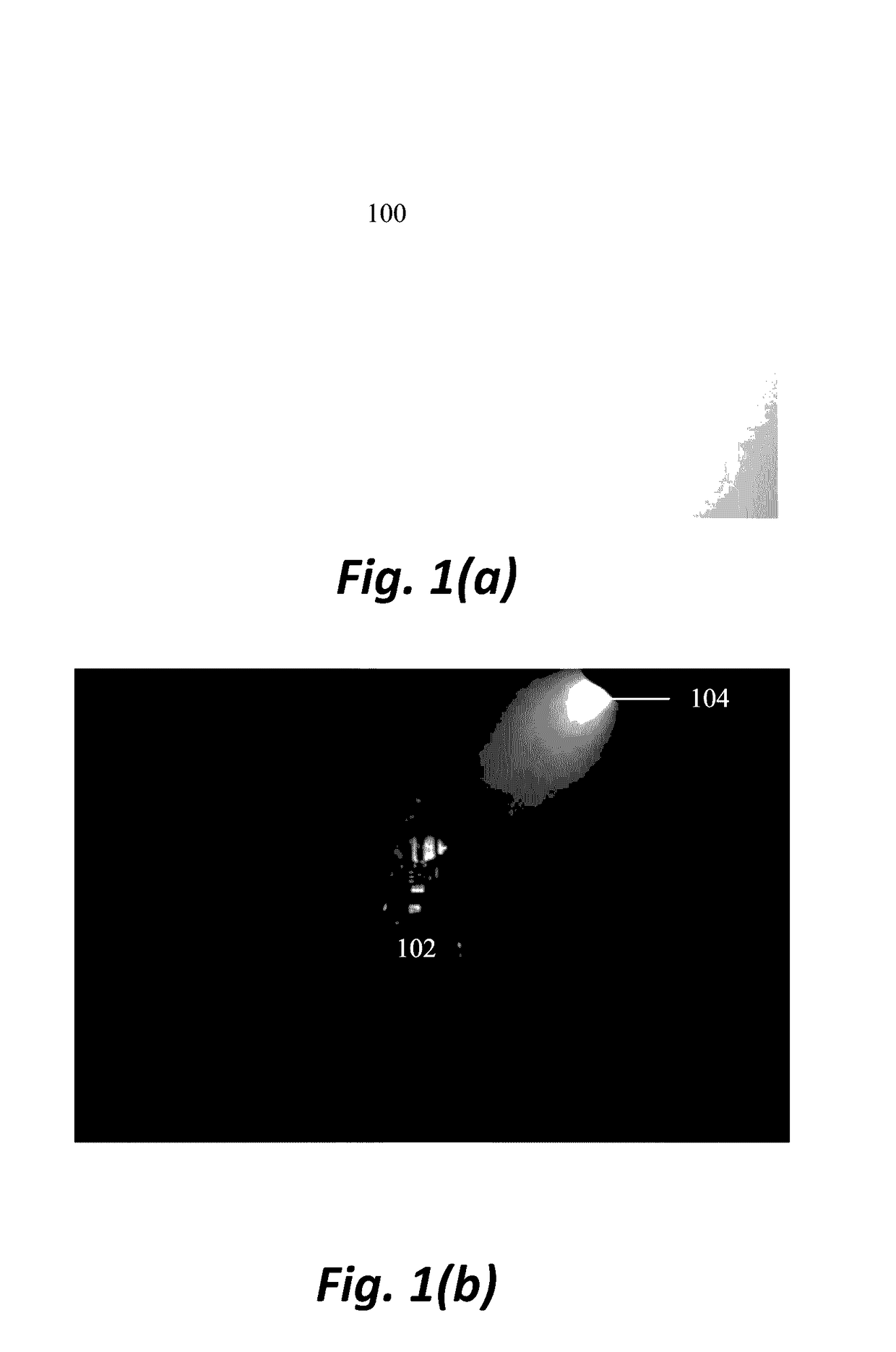 Glare suppression through fog by optical phase conjugation assisted active cancellation