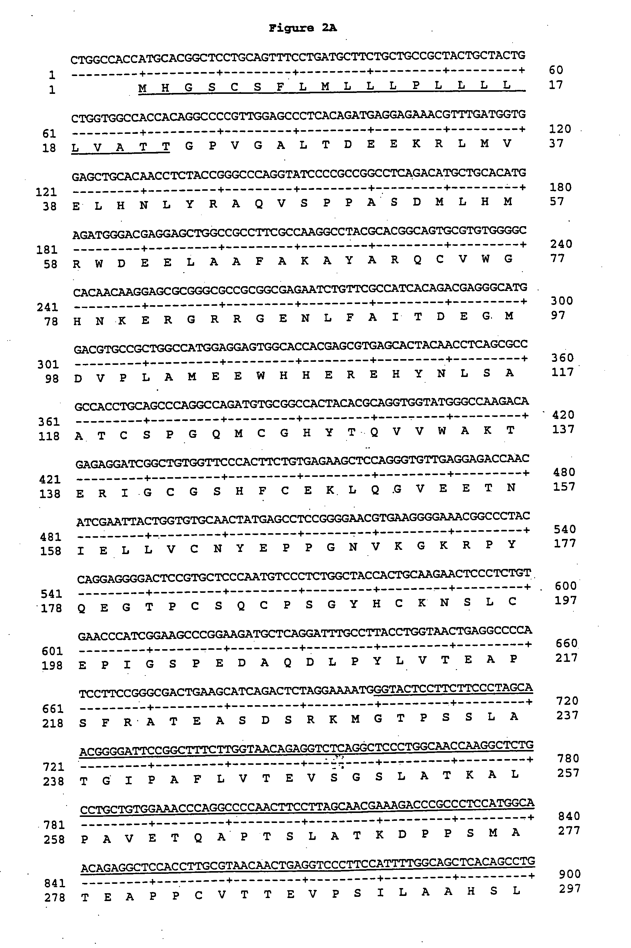 Leukocyte regulatory factors 1 and 2