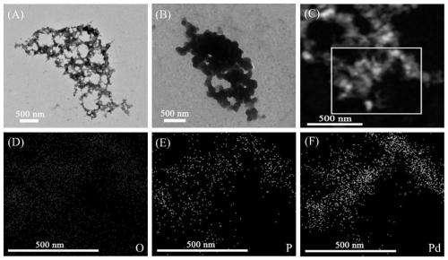 Electrochemical detection method for microRNAs based on rolling circle amplification mediated palladium nano-particles