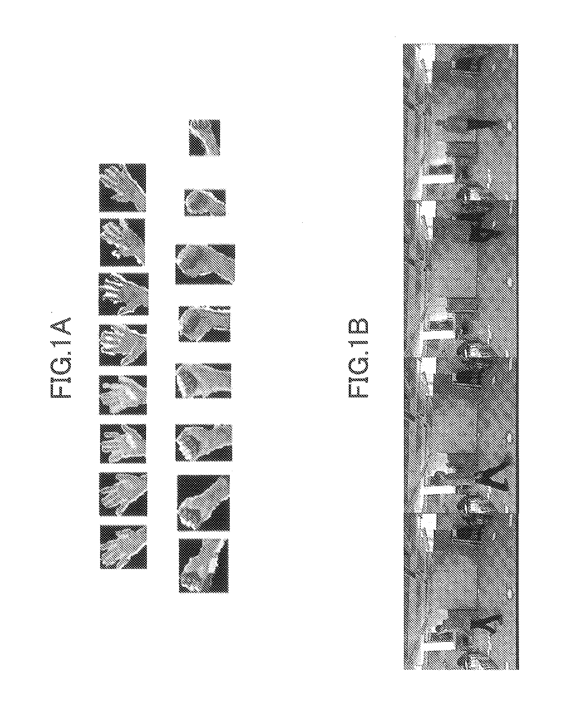 Method and apparatus for expressing motion object