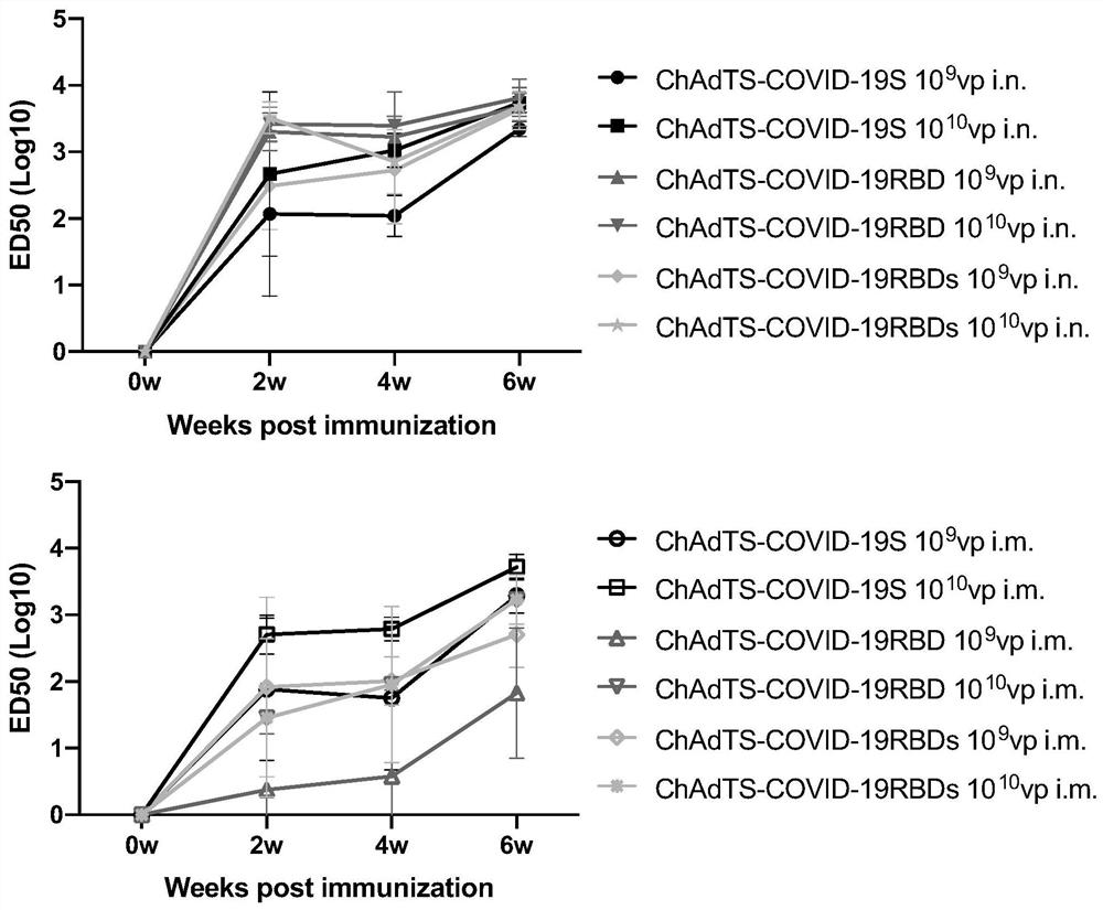 Three recombinant adenoviruses, RBD of SARS-CoV-2 Spike protein and application of three recombinant adenoviruses and RBD of SARS-CoV-2 Spike protein