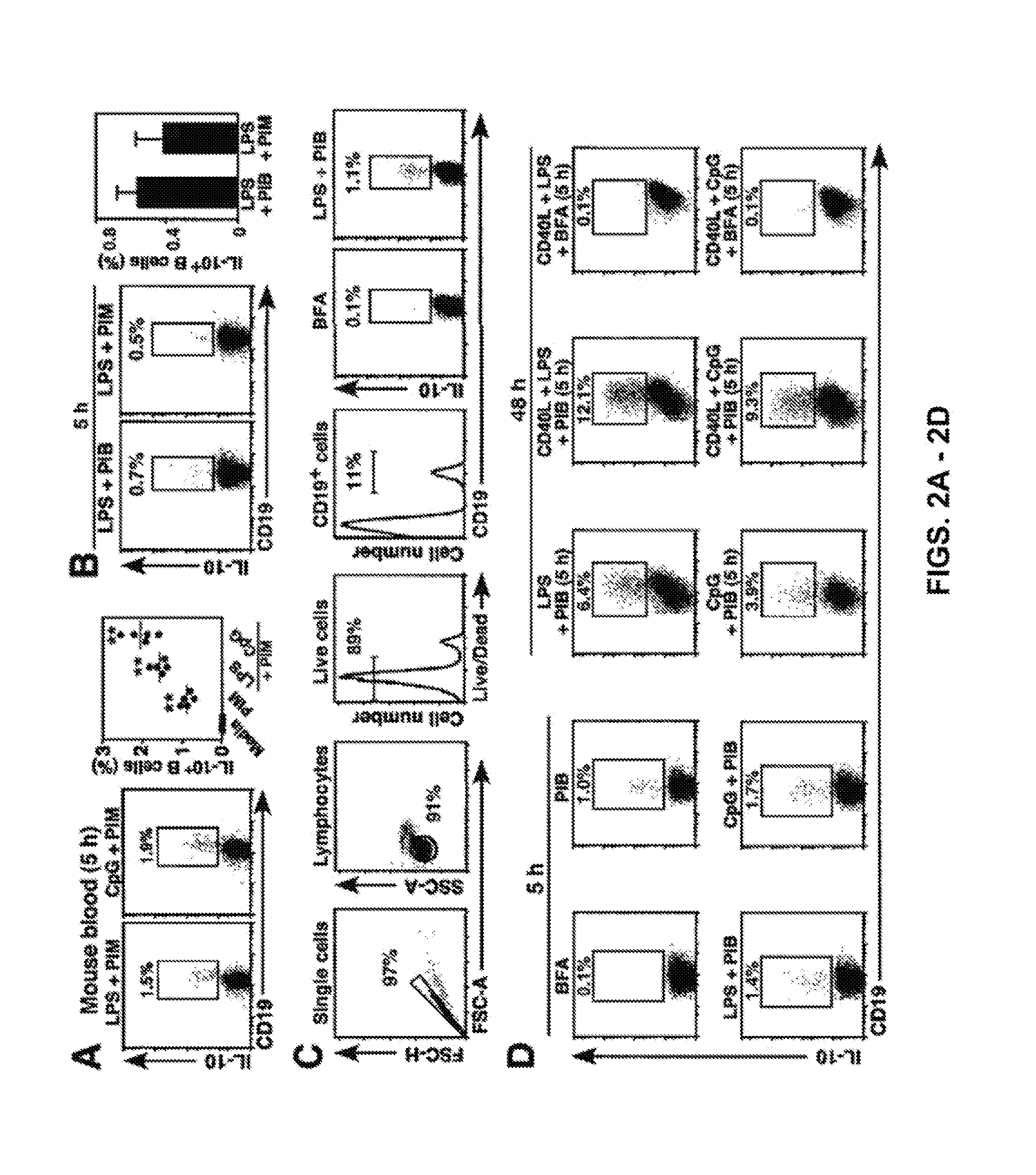 Regulatory b cells and their uses