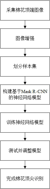 Mask R-CNN-based cotton tip identification and detection method