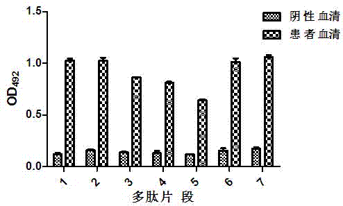 Polypeptide-ELISA (enzyme linked immunosorbent assay) kit for detecting H7N9 subtype avian influenza virus NA (neuraminidase) specific antibody