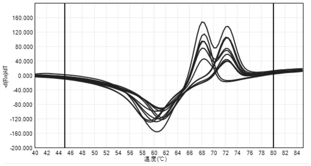 Probe, primer and kit for detecting gene polymorphism of catechol-O-methyltransferase (COMT)