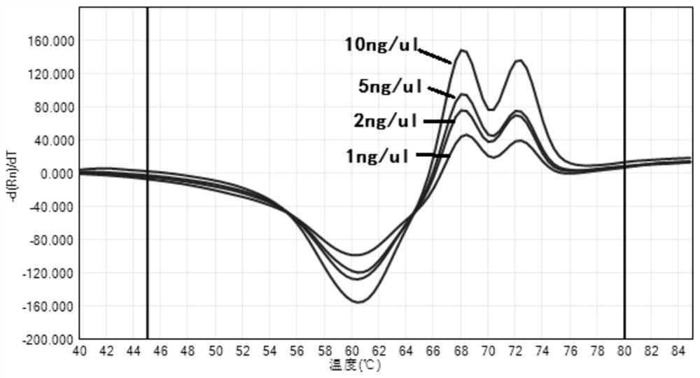 Probe, primer and kit for detecting gene polymorphism of catechol-O-methyltransferase (COMT)