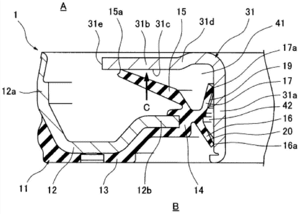 Oil seal