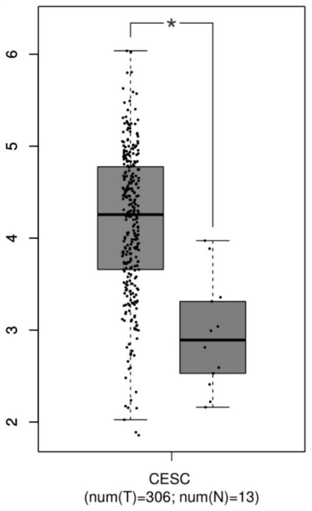 Human GPD2 gene inhibitor and its application