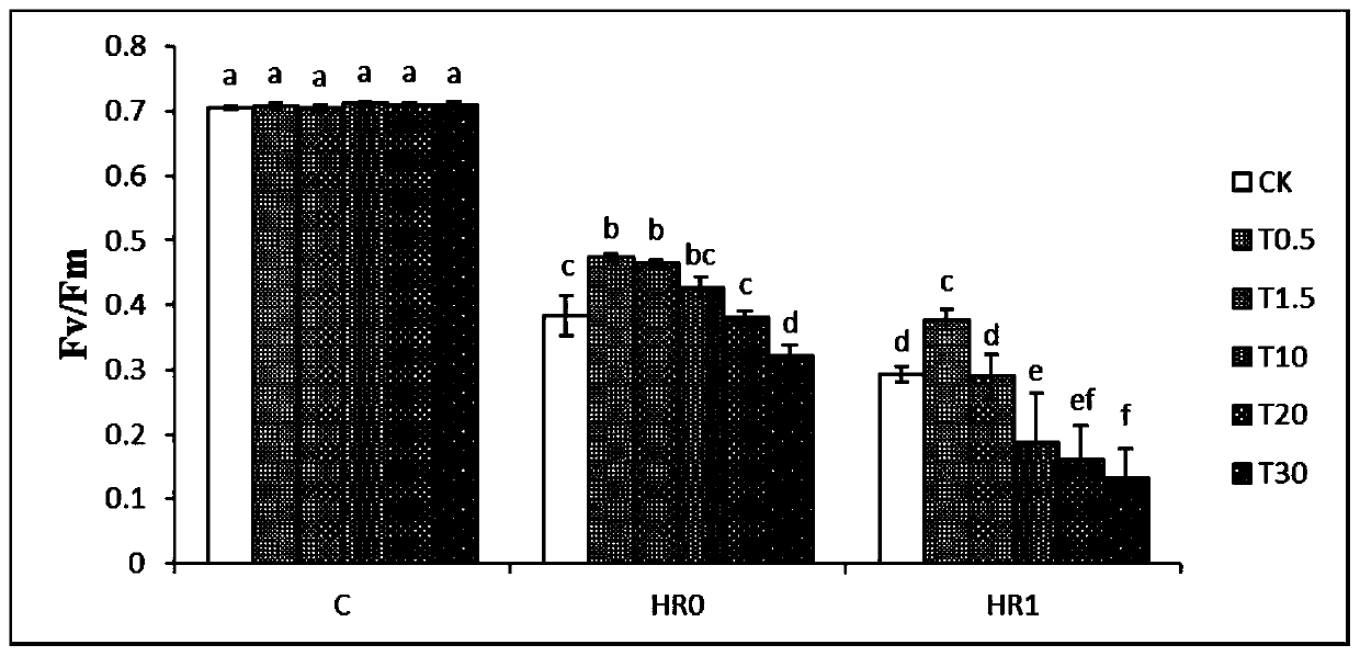 Method for improving photosynthetic carbon assimilation capability of corns under high-temperature stress