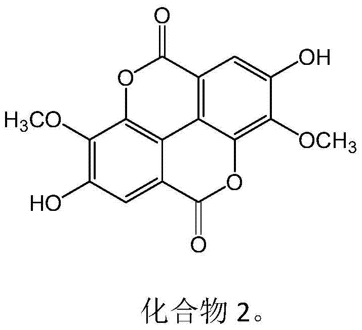 New use of ellagic acid compounds in the preparation of drugs for the treatment of hyperuricemia