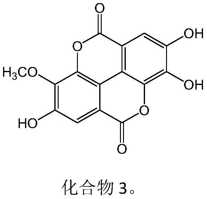 New use of ellagic acid compounds in the preparation of drugs for the treatment of hyperuricemia