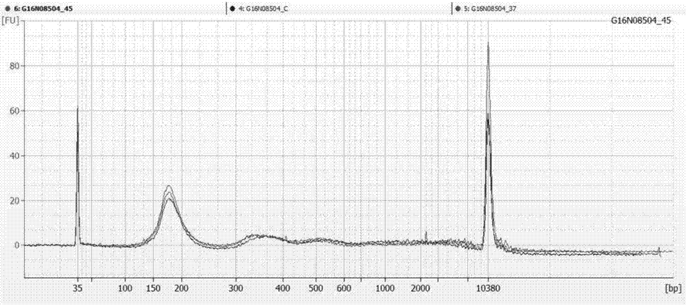 Plasma room-temperature transportation method for detecting fetal free DNA