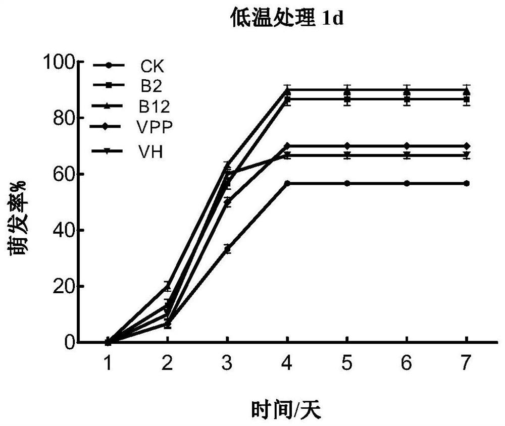 Method for improving stress resistance of corn seeds by using exogenous vitamins