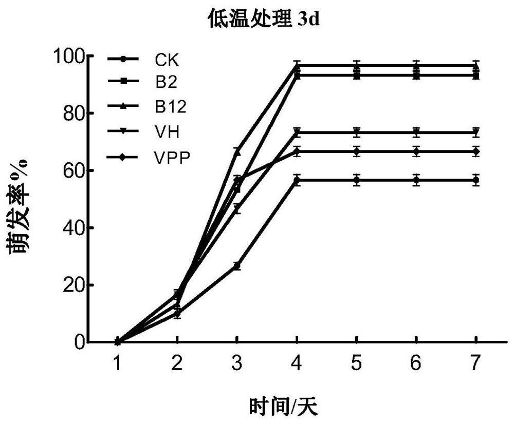 Method for improving stress resistance of corn seeds by using exogenous vitamins