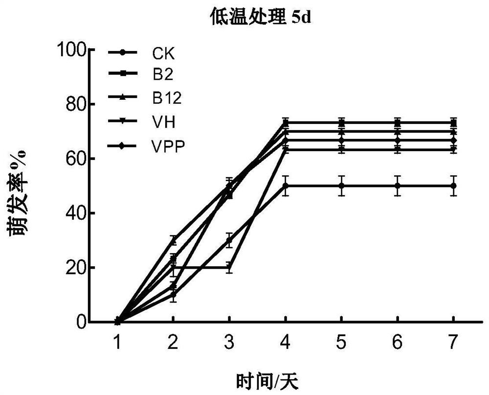 Method for improving stress resistance of corn seeds by using exogenous vitamins