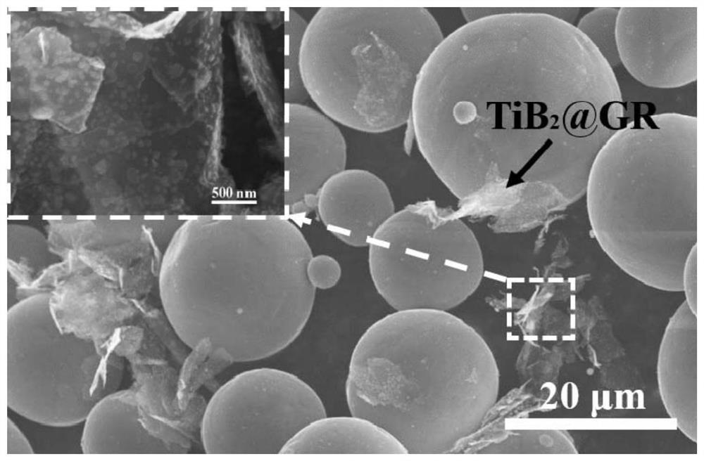 Method for preparing directionally-grown TiBw reinforced titanium matrix composite based on graphene templating
