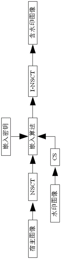 Watermark embedding method of host image and watermark extraction method of watermarked image